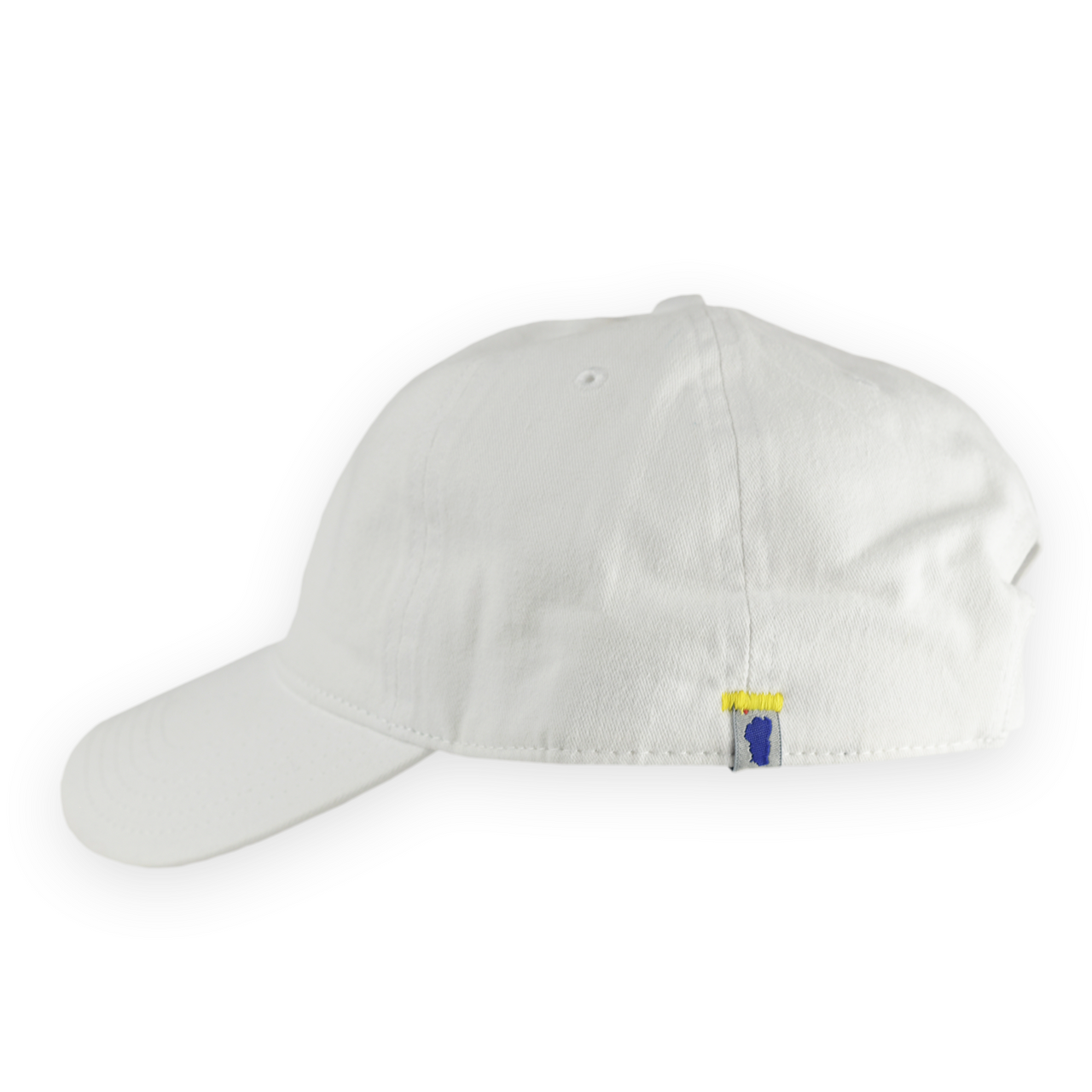 simply lake cap